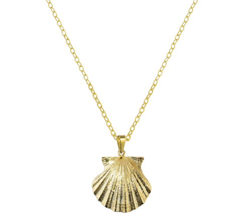 Scallop Large